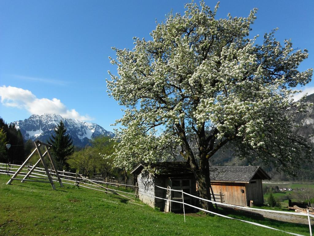Berghof Thurnergut Spital Am Pyhrn Dış mekan fotoğraf