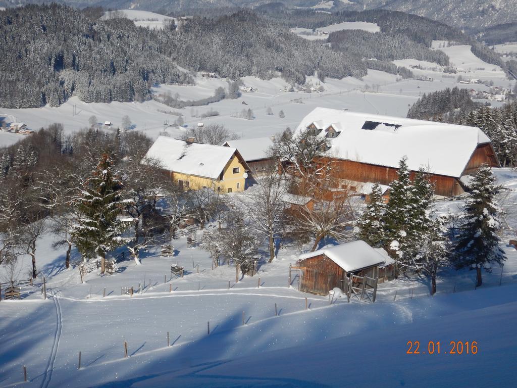 Berghof Thurnergut Spital Am Pyhrn Dış mekan fotoğraf
